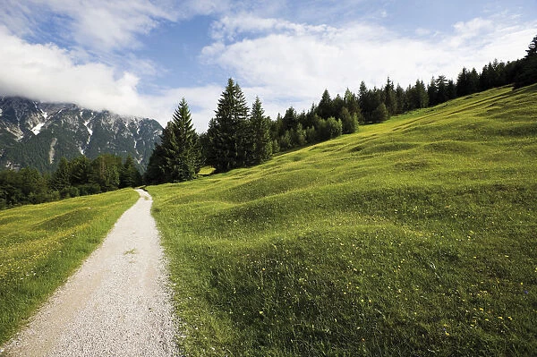 Groeblalm mountain pastures near Mittenwald, Karwendelgebirge mountains, Werdenfelser Land area, Upper Bavaria, Bavaria, Germany, Europe