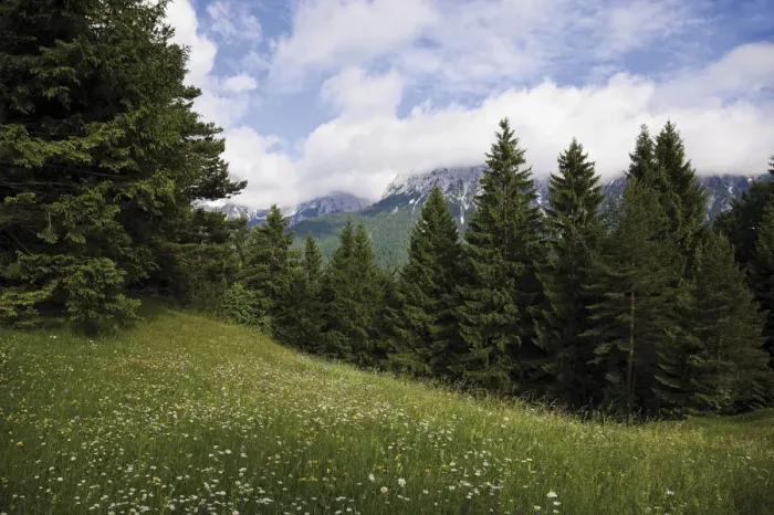 Framed Print : Groeblalm mountain pastures near Mittenwald, Karwendelgebirge mountains, Werdenfelser Land area, Upper Bavaria, Bavaria, Germany, Europe Framed Print : Groeblalm mountain pastures near Mittenwald, Karwendelgebirge mountains, Werdenfelser Land area, Upper Bavaria, Bavaria, Germany, Europe