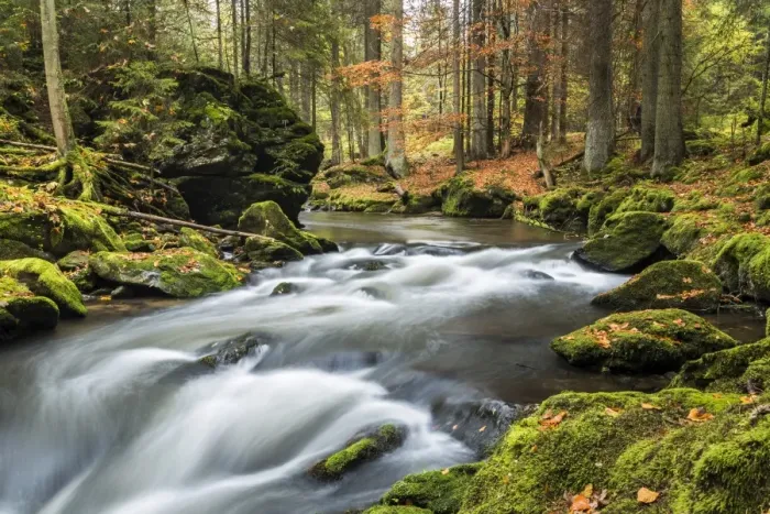 Framed Print : Grosser Regen river, autumn, Bavarian Forest National Park, Bavaria, Germany Framed Print : Grosser Regen river, autumn, Bavarian Forest National Park, Bavaria, Germany