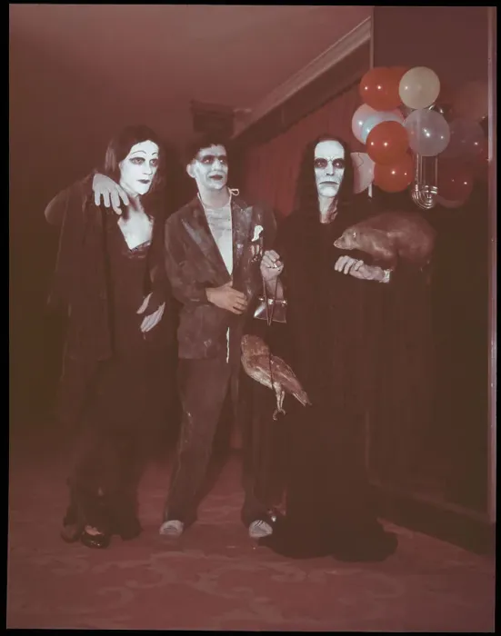 Framed Print : Group Dressed as Halloween Characters