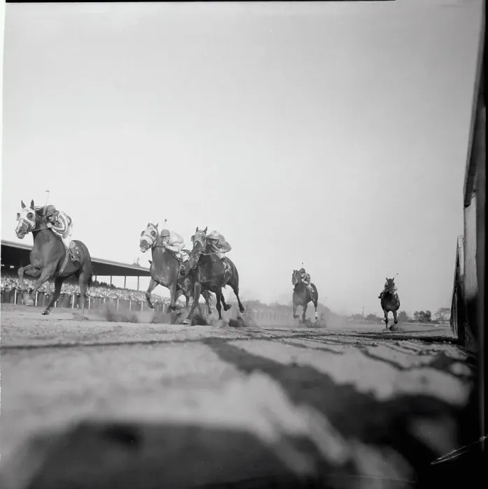 Framed Print : A Group of Horses Running A Race Framed Print : A Group of Horses Running A Race