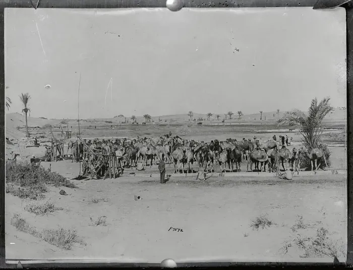 Framed Print : Group of Kurdish Troops Framed Print : Group of Kurdish Troops