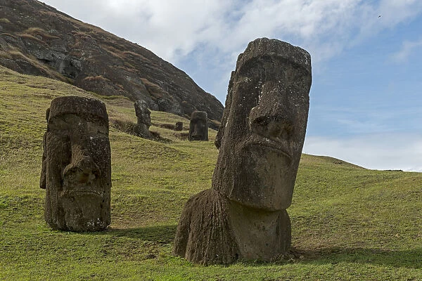 Group of Moai, the bodies are buried in the ground, only the heads are visible, Rano Raraku, Easter Island, Chile