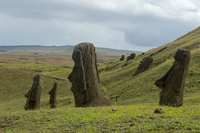 Framed Print : Group of Moai statues, Rano Raraku, Easter Island, Chile Framed Print : Group of Moai statues, Rano Raraku, Easter Island, Chile