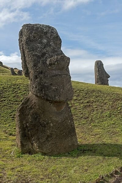 Group of Moai statues, Rano Raraku, Easter Island, Chile