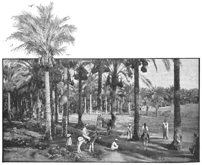 Framed Print : Group of People at Memphis, Egypt - Ottoman Empire Framed Print : Group of People at Memphis, Egypt - Ottoman Empire