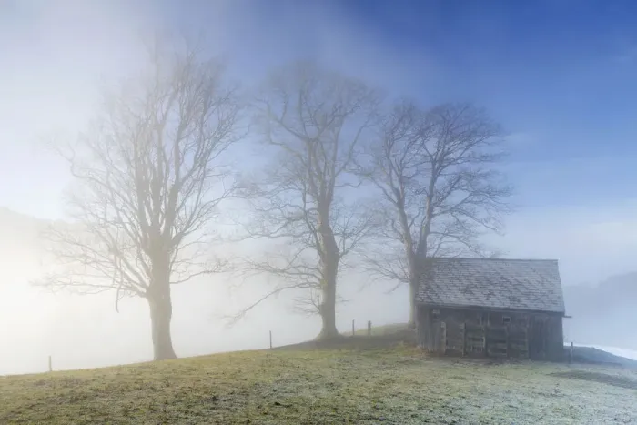 Framed Print : Group of trees and a hut with high fog, Trogen, Appenzell, Switzerland Framed Print : Group of trees and a hut with high fog, Trogen, Appenzell, Switzerland