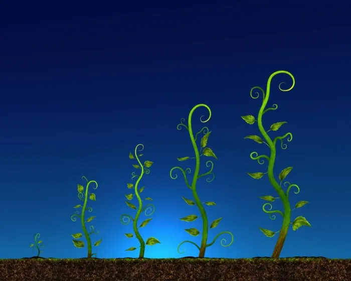 Framed Print : Growth. Plants growing Framed Print : Growth. Plants growing