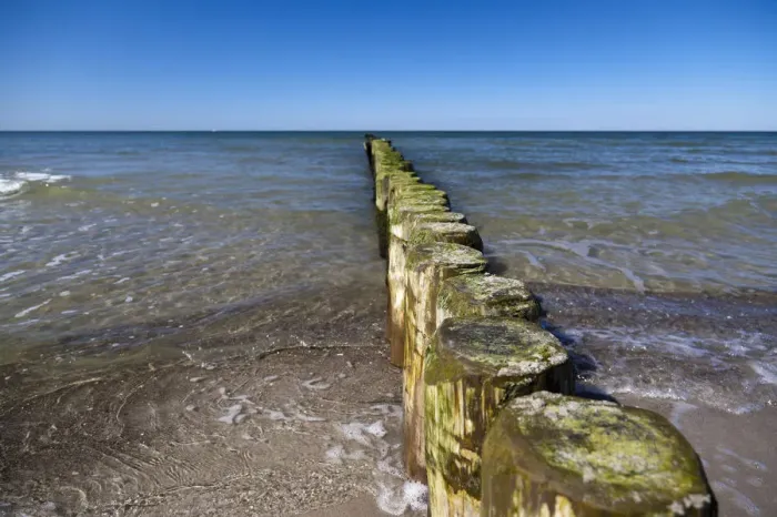 Framed Print : Groynes on Darsser Weststrand beach, Darss, Mecklenburg-Western Pomerania, Germany, Europe