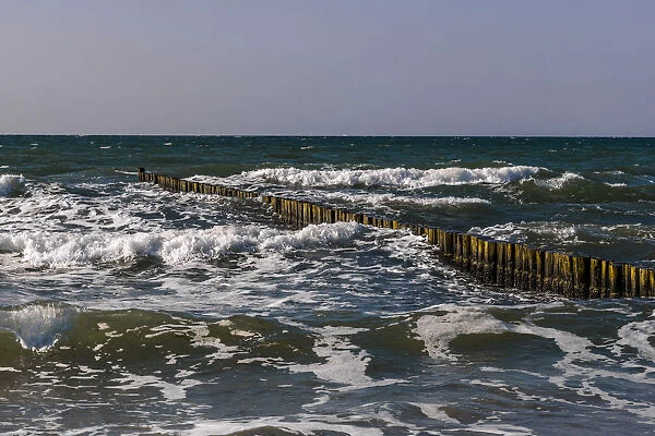 Groynes at moderate swell on the beach of Ahrenshoop, Fischland, Mecklenburg-Western Pomerania, Germany