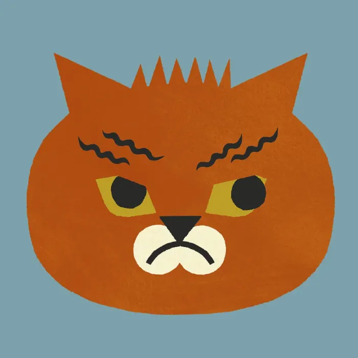 Framed Print : Grumpy Cat Framed Print : Grumpy Cat