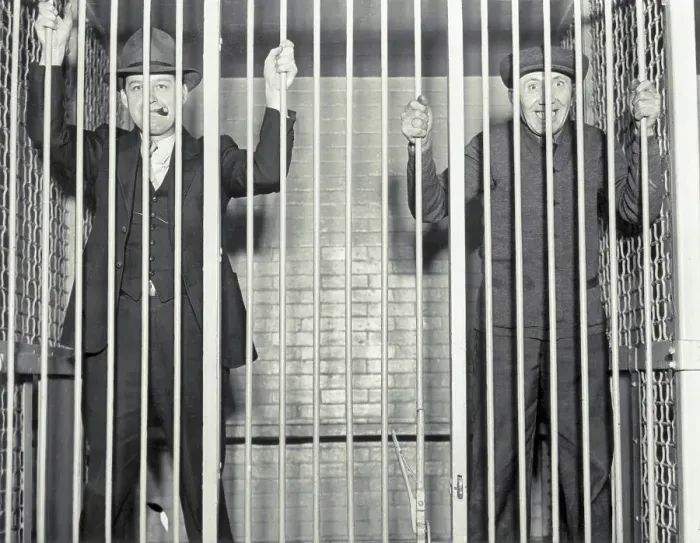 Framed Print : Guilty Drunken Drivers in Lion's Cage