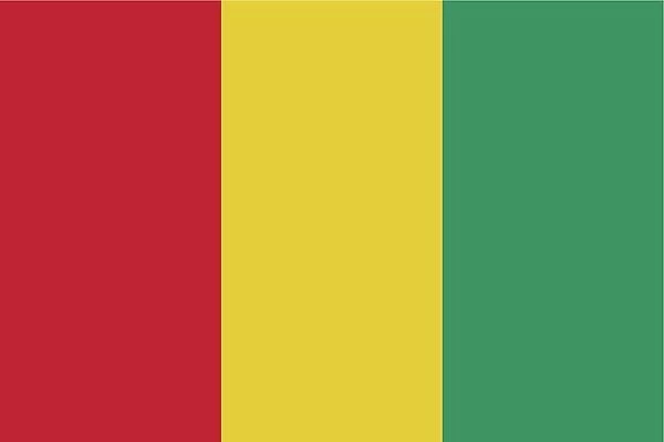guinea flag