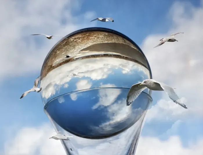 Framed Print : Gulls circumnavigating the world Framed Print : Gulls circumnavigating the world