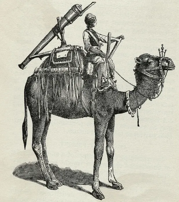 Framed Print : Gun Atop Camel In India Framed Print : Gun Atop Camel In India
