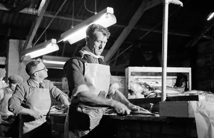 Framed Print : Gutting Fish Framed Print : Gutting Fish
