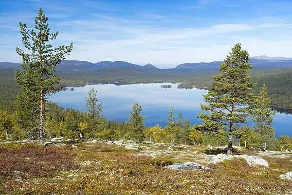 Gutulisjoen, Gutuli Lake, Gutulia National Park, Engerdal, Hedmark, Norway