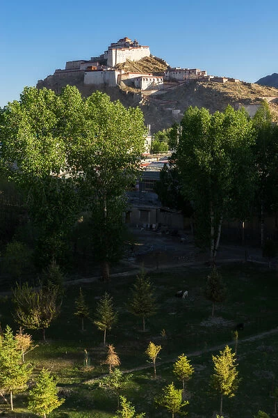 Gyangze Fortress, Tibet, China