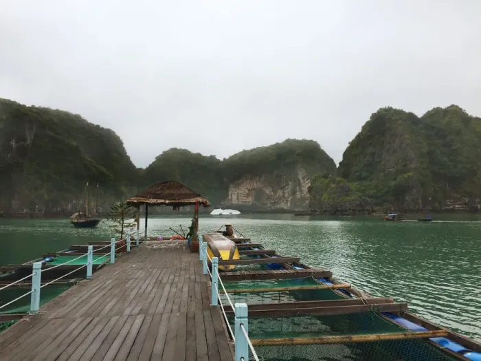 Framed Print : Ha Long Bay views of limestone karsts and isles