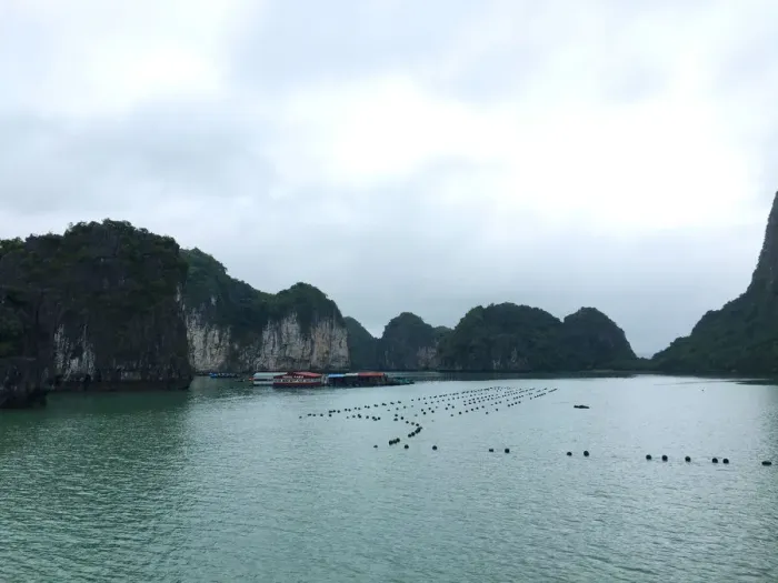 Framed Print : Ha Long Bay views of limestone karsts and isles Framed Print : Ha Long Bay views of limestone karsts and isles