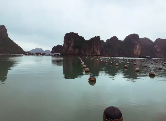 Framed Print : Ha Long Bay views of limestone karsts and isles