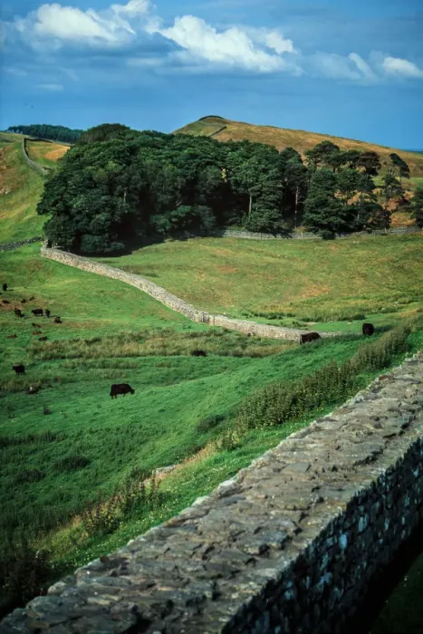 Framed Print : Hadrians Wall Framed Print : Hadrians Wall