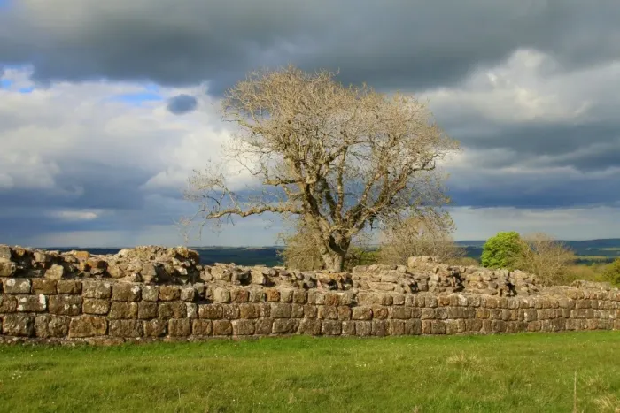Framed Print : Part of Hadrians wall in England, near Black carts turret Framed Print : Part of Hadrians wall in England, near Black carts turret
