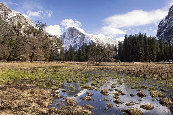 Half Dome with reflections seen from Cooks Meadow, Yosemite National Park, California, USA