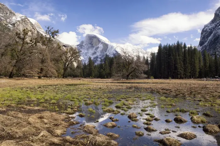Framed Print : Half Dome with reflections seen from Cooks Meadow, Yosemite National Park, California, USA Framed Print : Half Dome with reflections seen from Cooks Meadow, Yosemite National Park, California, USA