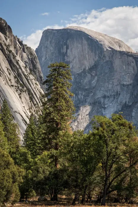 Framed Print : Half Dome through the Valley Framed Print : Half Dome through the Valley