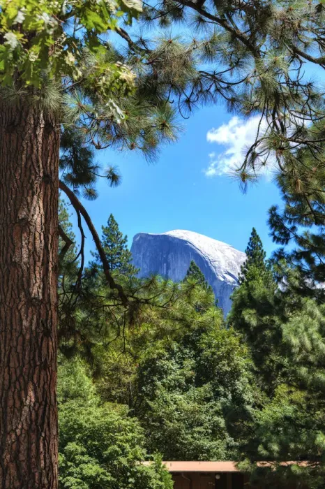Framed Print : Half Dome, Yosemite National Park, California, United States of America