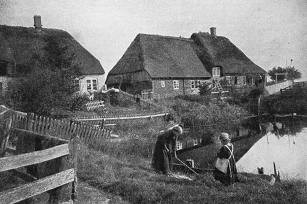 On the Hallig Oland in the North Frisian Wadden Sea, North Sea, Friesland, Germany, photo from 1895, Historic, digital reproduction of an original 19th century original, original date unknown