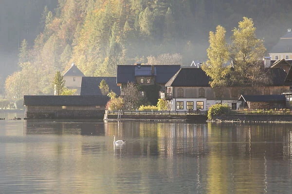 Hallstatt in a Fog with Sunlight, Reflection and Duck