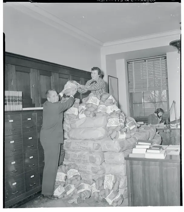Framed Print : Hamer Budge Stacking Bags of Potatoes Framed Print : Hamer Budge Stacking Bags of Potatoes