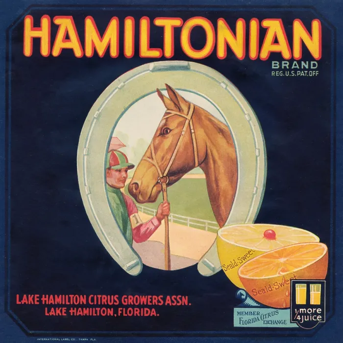 Framed Print : Hamiltonian Brand Framed Print : Hamiltonian Brand