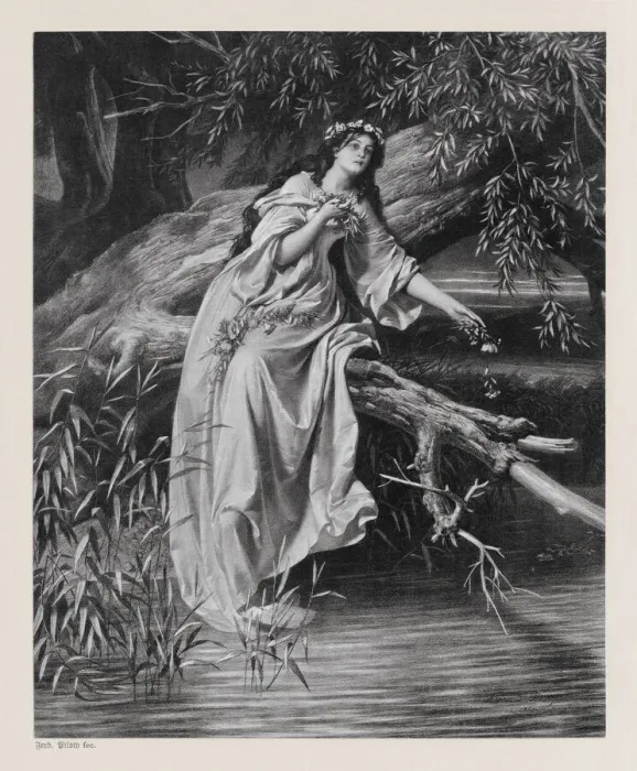 Framed Print : Hamlet, tragedy by William Shakespeare, published in 1886 Framed Print : Hamlet, tragedy by William Shakespeare, published in 1886