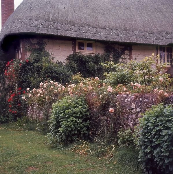Hampshire Cottage