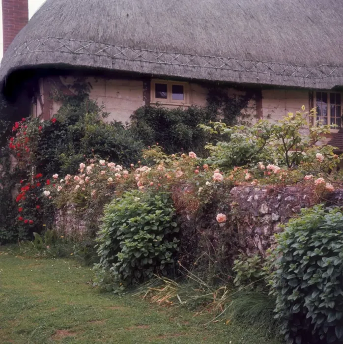 Framed Print : Hampshire Cottage Framed Print : Hampshire Cottage