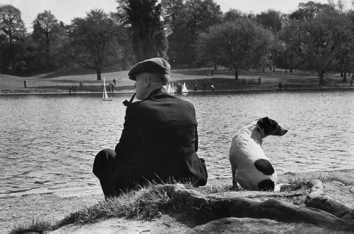 Framed Print : Hampstead Heath Framed Print : Hampstead Heath