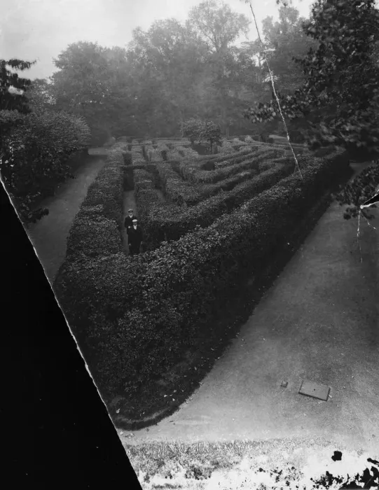 Framed Print : Hampton Court Maze Framed Print : Hampton Court Maze
