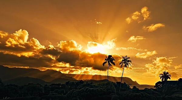 Hanalei Bay Sunset over Palm Trees Kauai Hawaii