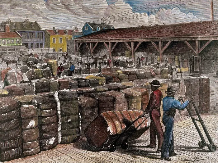 Framed Print : Hand-Colored Engraving of Stevedores Loading Cotton Bales Framed Print : Hand-Colored Engraving of Stevedores Loading Cotton Bales