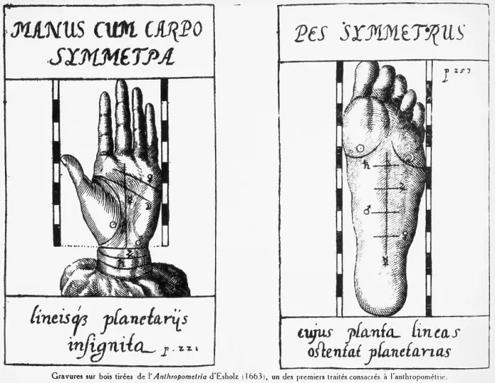 Framed Print : Hand & Foot Measurements--Wood Engraving Framed Print : Hand & Foot Measurements--Wood Engraving