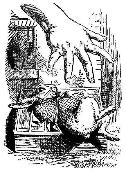Hand and Rabbit illustration, (Alices Adventures in Wonderland)