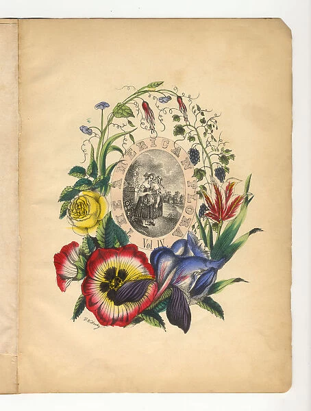 Handcolored Title Page Victorian Botanical Illustration