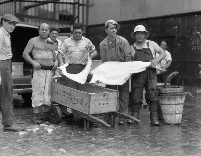 Framed Print : Handlers At Fulton Fishmarket Framed Print : Handlers At Fulton Fishmarket
