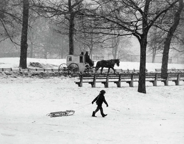 Framed Print : Hansom Cab and Sledder in Central Park Framed Print : Hansom Cab and Sledder in Central Park