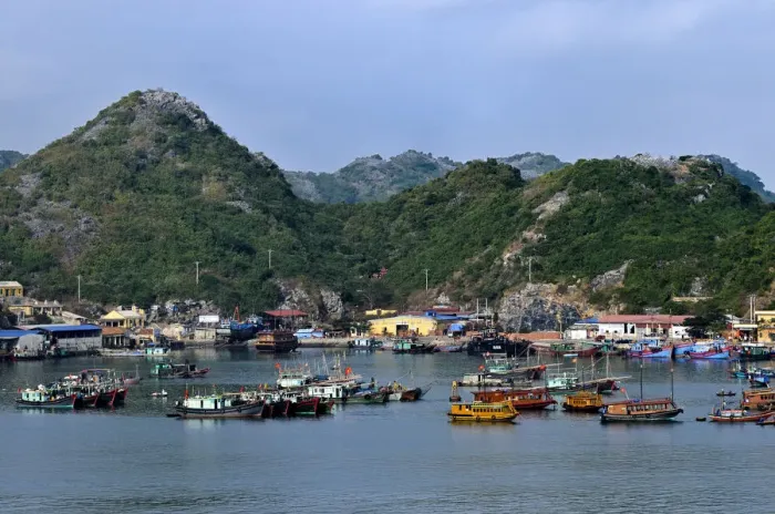 Framed Print : Harbour of Cat Ba, Halong Bay, Vietnam, Southeast Asia Framed Print : Harbour of Cat Ba, Halong Bay, Vietnam, Southeast Asia