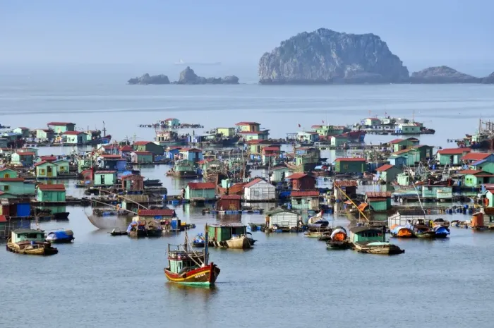 Framed Print : Harbour of Cat Ba, Halong Bay, Vietnam, Southeast Asia Framed Print : Harbour of Cat Ba, Halong Bay, Vietnam, Southeast Asia