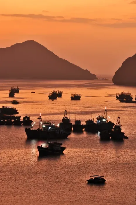Framed Print : Harbour of Cat Ba, Halong Bay, Vietnam, Southeast Asia